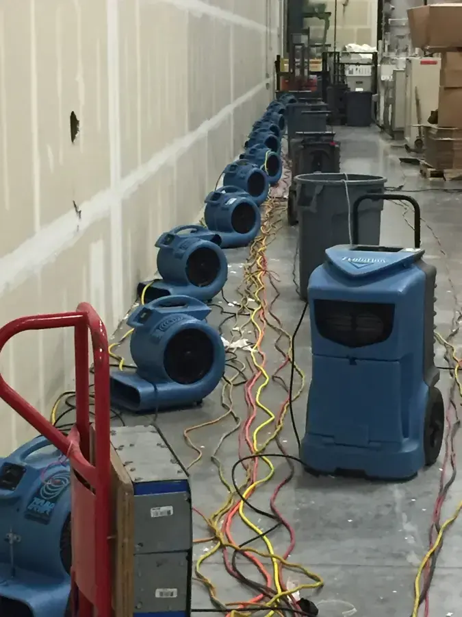 Row of air movers and dehumidifiers drying flood-cut walls along a long hallway