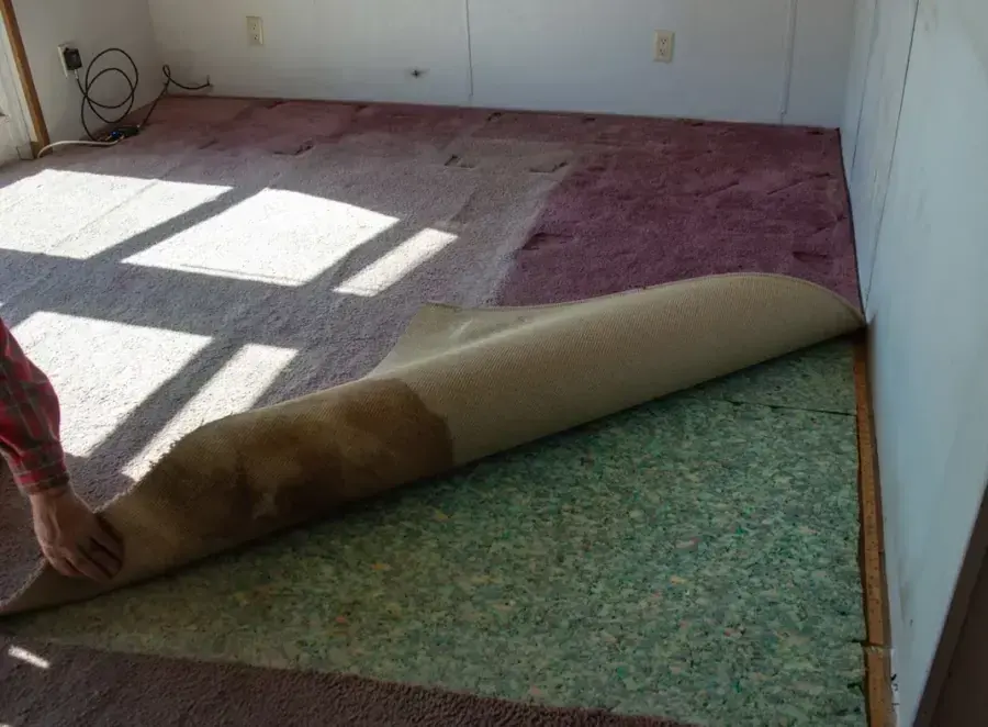Wet carpet pulled back by hand over a soaked, stained pad in a Draper home