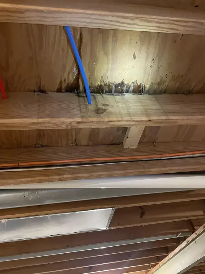 Ceiling opened below a bathroom to dry water-stained joists after a ceiling leak in Riverton, UT