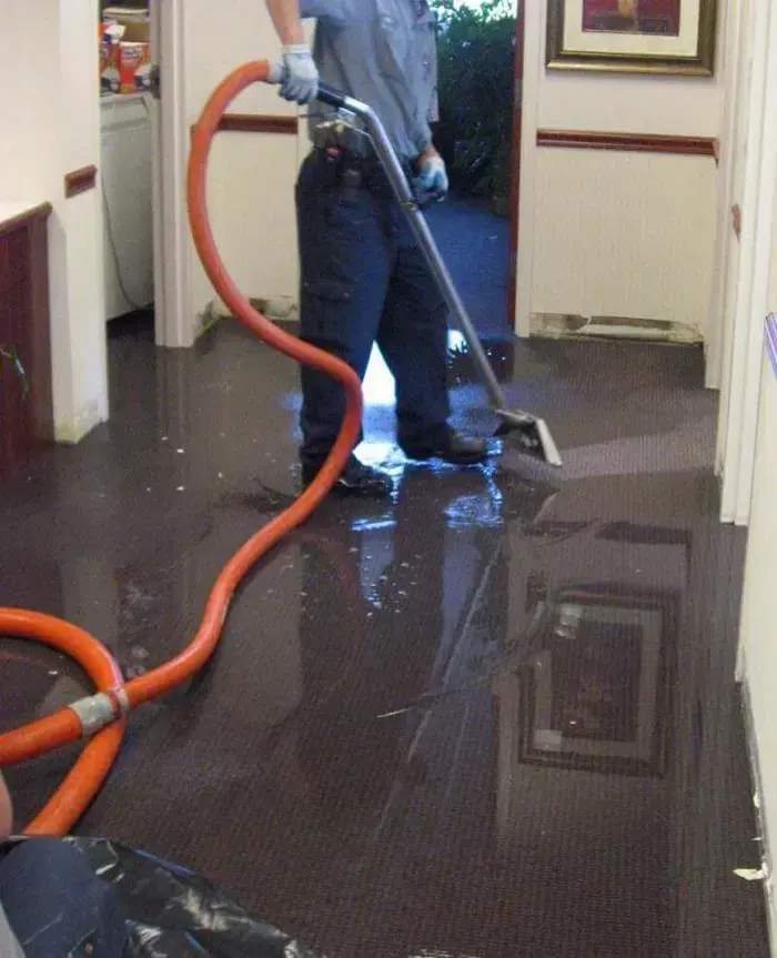 Water Extraction & Removal in Sandy, UT